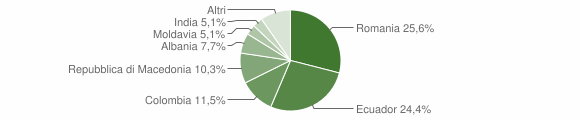 Grafico cittadinanza stranieri - Strembo 2013