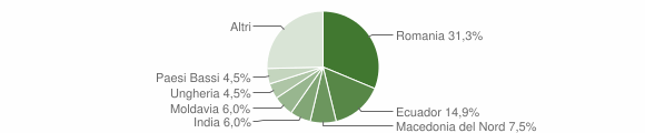 Grafico cittadinanza stranieri - Strembo 2020
