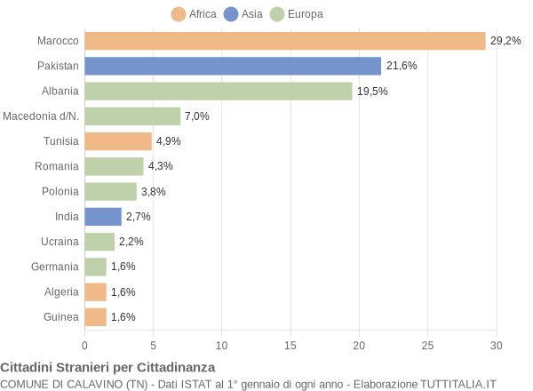 Grafico cittadinanza stranieri - Calavino 2005