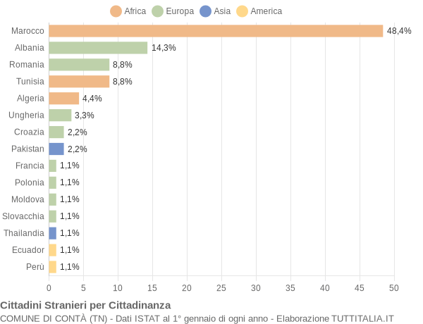 Grafico cittadinanza stranieri - Contà 2004