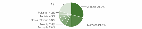 Grafico cittadinanza stranieri - Ledro 2010
