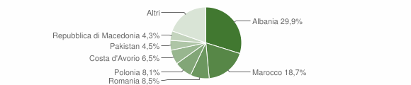 Grafico cittadinanza stranieri - Ledro 2011