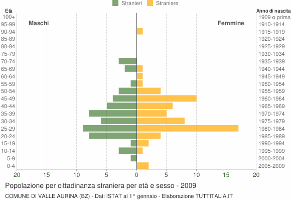 Grafico cittadini stranieri - Valle Aurina 2009