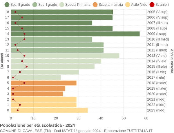 Grafico Popolazione in età scolastica - Cavalese 2024