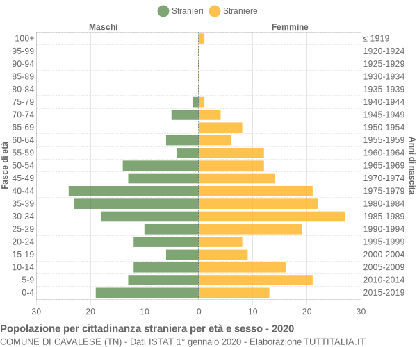 Grafico cittadini stranieri - Cavalese 2020