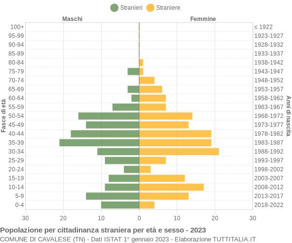 Grafico cittadini stranieri - Cavalese 2023