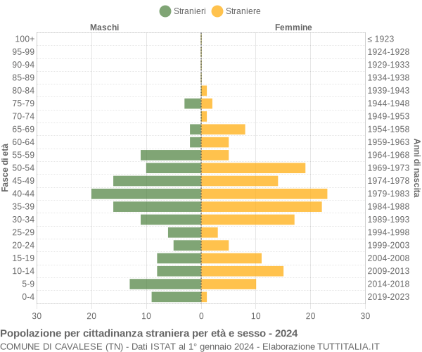 Grafico cittadini stranieri - Cavalese 2024