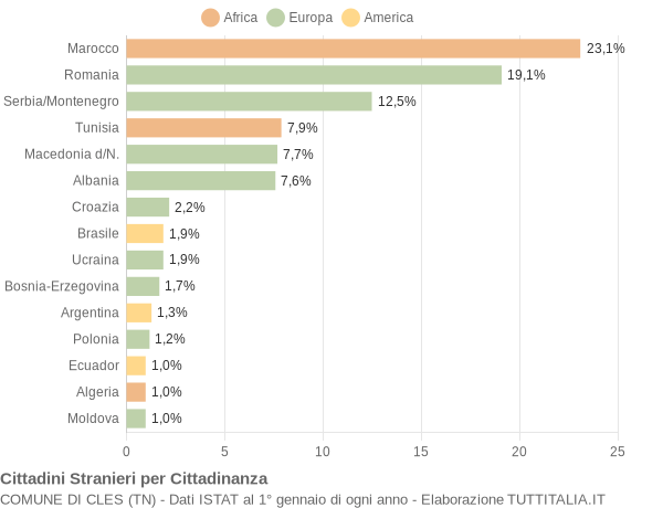 Grafico cittadinanza stranieri - Cles 2007