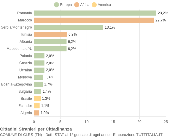 Grafico cittadinanza stranieri - Cles 2008