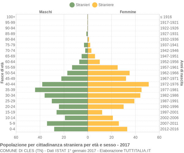 Grafico cittadini stranieri - Cles 2017