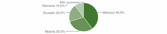 Grafico cittadinanza stranieri - Lardaro 2010