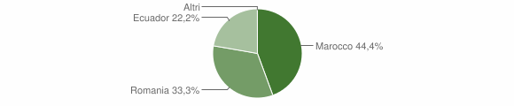 Grafico cittadinanza stranieri - Lardaro 2012