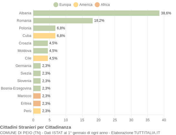 Grafico cittadinanza stranieri - Peio 2006