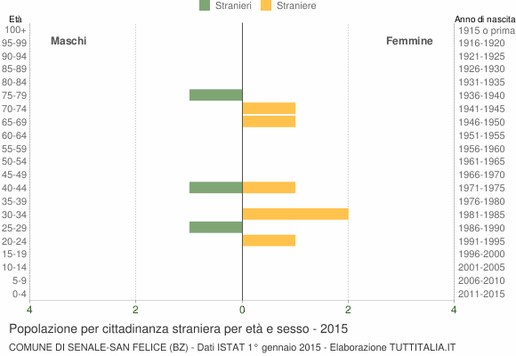 Grafico cittadini stranieri - Senale-San Felice 2015