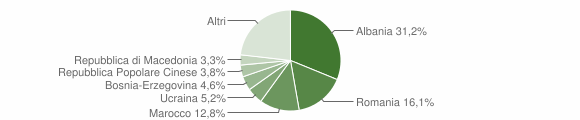 Grafico cittadinanza stranieri - Mezzolombardo 2010