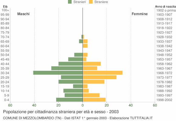 Grafico cittadini stranieri - Mezzolombardo 2003