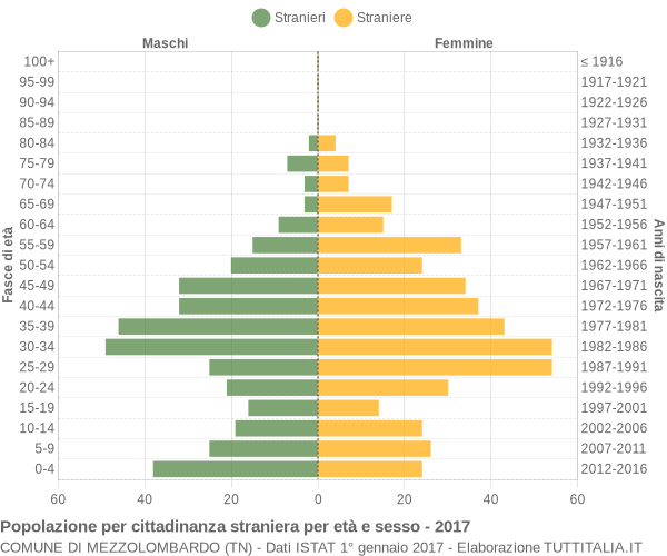 Grafico cittadini stranieri - Mezzolombardo 2017