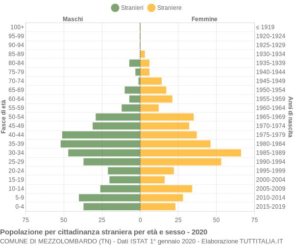 Grafico cittadini stranieri - Mezzolombardo 2020