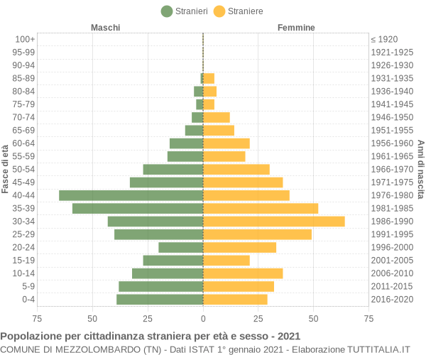 Grafico cittadini stranieri - Mezzolombardo 2021