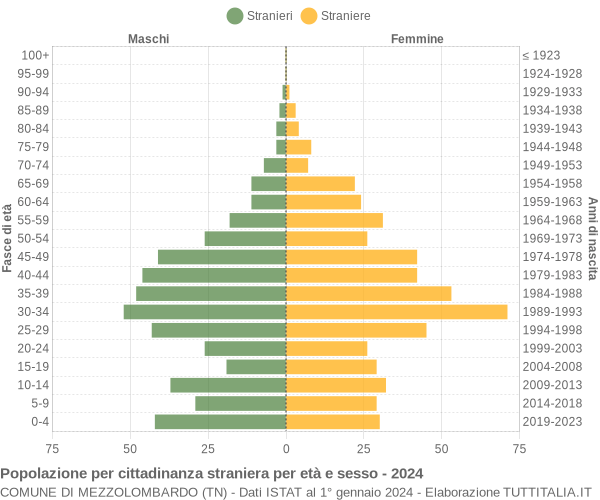 Grafico cittadini stranieri - Mezzolombardo 2024