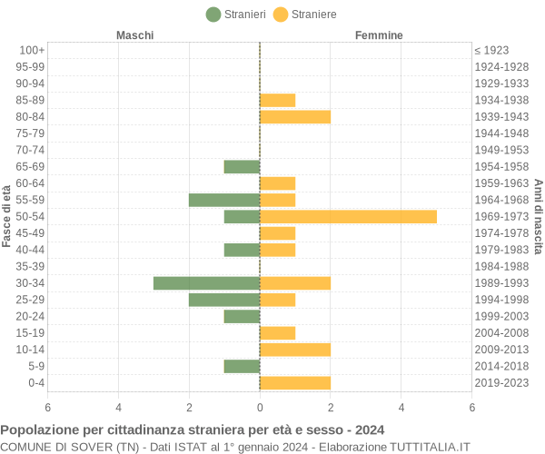 Grafico cittadini stranieri - Sover 2024