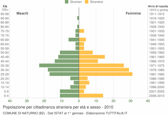 Grafico cittadini stranieri - Naturno 2010