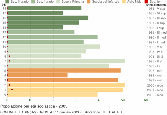 Grafico Popolazione in età scolastica - Badia 2003