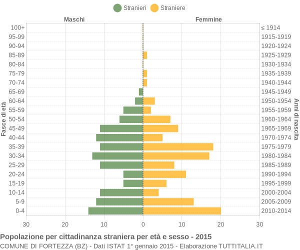 Grafico cittadini stranieri - Fortezza 2015