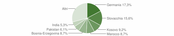 Grafico cittadinanza stranieri - Laces 2015
