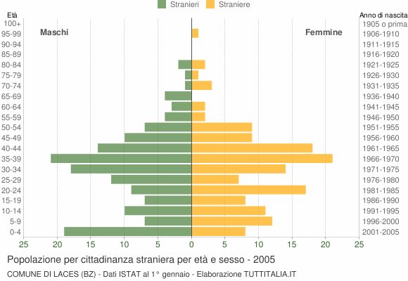 Grafico cittadini stranieri - Laces 2005