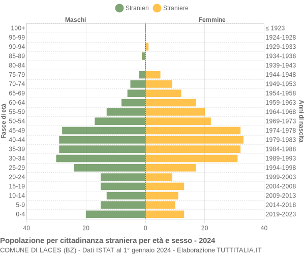 Grafico cittadini stranieri - Laces 2024