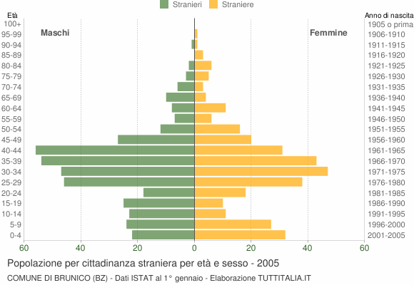 Grafico cittadini stranieri - Brunico 2005