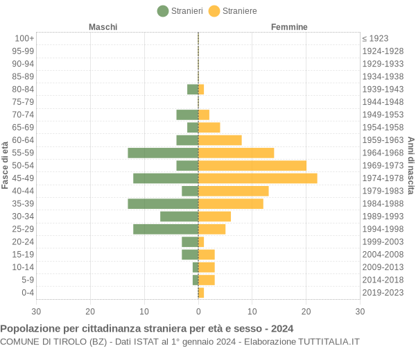 Grafico cittadini stranieri - Tirolo 2024