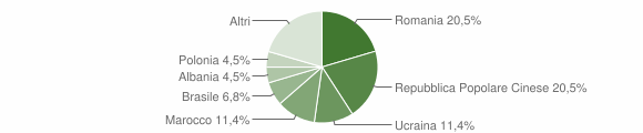 Grafico cittadinanza stranieri - Novaledo 2011