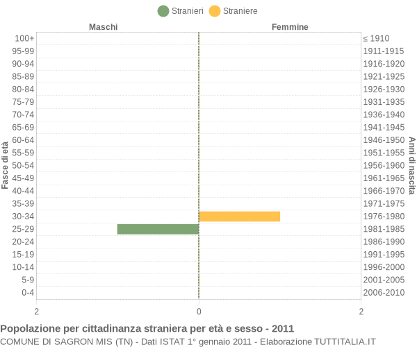 Grafico cittadini stranieri - Sagron Mis 2011