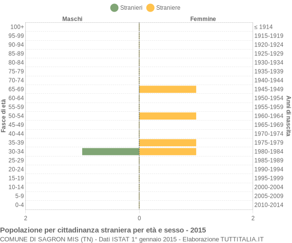 Grafico cittadini stranieri - Sagron Mis 2015