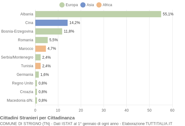 Grafico cittadinanza stranieri - Strigno 2005