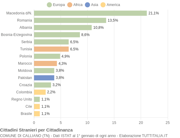 Grafico cittadinanza stranieri - Calliano 2009