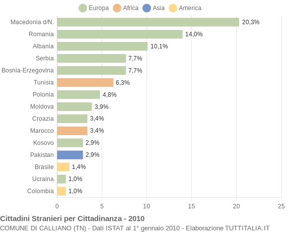 Grafico cittadinanza stranieri - Calliano 2010