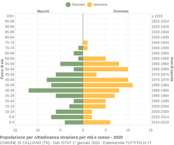 Grafico cittadini stranieri - Calliano 2020