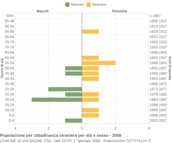 Grafico cittadini stranieri - Valdaone 2008