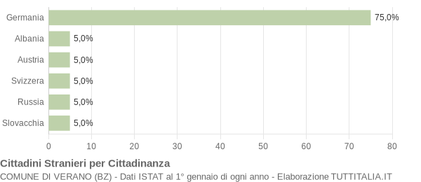 Grafico cittadinanza stranieri - Verano 2010