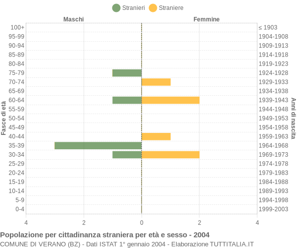 Grafico cittadini stranieri - Verano 2004