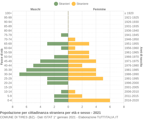 Grafico cittadini stranieri - Tires 2021