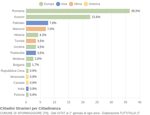 Grafico cittadinanza stranieri - Spormaggiore 2017