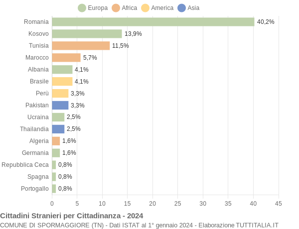 Grafico cittadinanza stranieri - Spormaggiore 2024