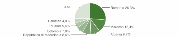 Grafico cittadinanza stranieri - Zambana 2013
