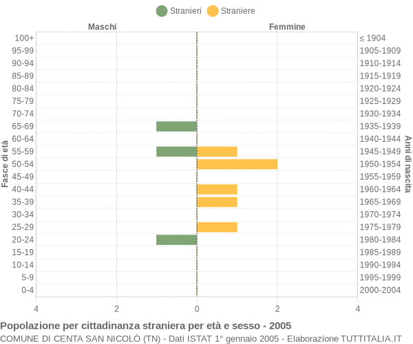 Grafico cittadini stranieri - Centa San Nicolò 2005