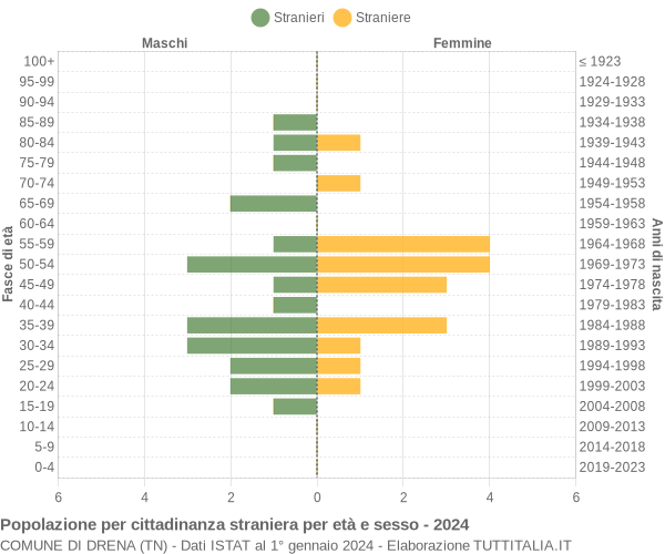 Grafico cittadini stranieri - Drena 2024