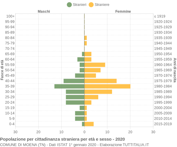 Grafico cittadini stranieri - Moena 2020